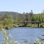 IMG_7687 (May 28, 2024)